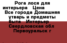 Рога лося для интерьера › Цена ­ 3 300 - Все города Домашняя утварь и предметы быта » Интерьер   . Свердловская обл.,Первоуральск г.